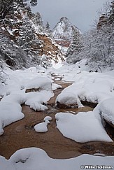 Snowy Side Canyon Zion 022623 4054