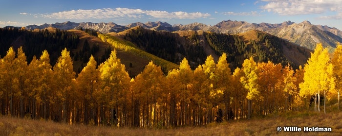 crestrailgoldenaspen092708