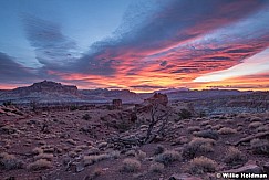 Colorful Sunrise Capital Reef 111820 2847 3