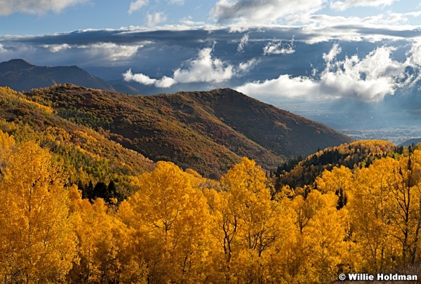 Translucentaspensmidway101711