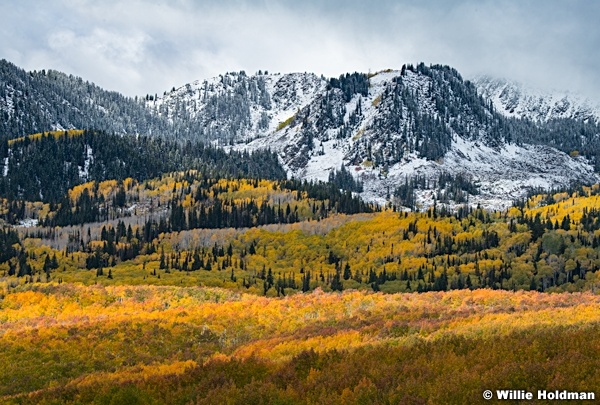 Bonanza Flats Snow Color 100423 9066 2