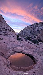 Pink Waterhole Sunrise 031526 8565