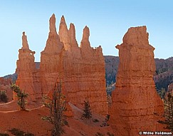 Brycepinnacles103109