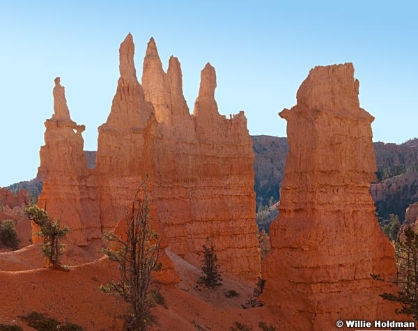 Brycepinnacles103109