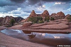 Zion Waterhole Reflection 031520 5150