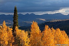 uintaaspens100310 3167