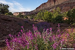 Capitol Reef 052916 8933 2