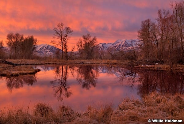 Cloudreflectionmidway121410 41