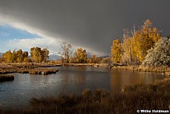 Hebervalleypond101909 2064