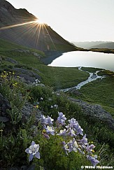 Blue Lake Columbine San Juan Colorado 071124 2