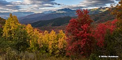 Wasatch Park Autumn Colors 091516