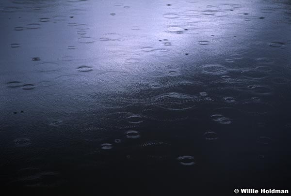 217000009608