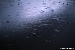 217000009608