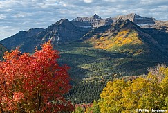 Timp Red Maples Doppled Light 092624 0418