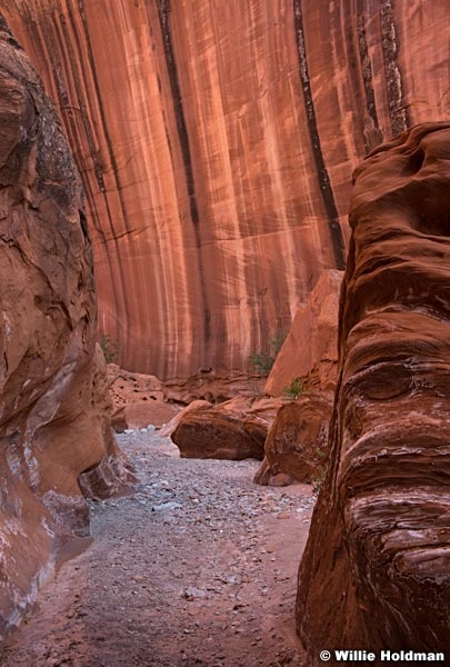Escalante Choprock Canyon 060516 0878 2