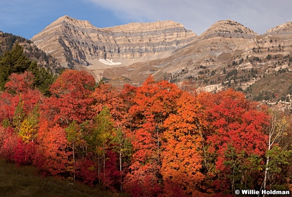 Timp Autumn Colors 092312