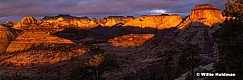 Zion Red Light Pano 20x60