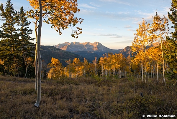 Timpanogos-Yellow-092815Aspens-092915