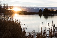 Pond 111816 5 2