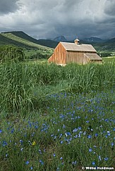 Tate Barn Blue Flax 062023 4100