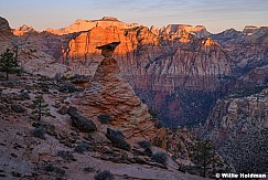 Zion HooDoo Canaan Red Light Sunrise 031126
