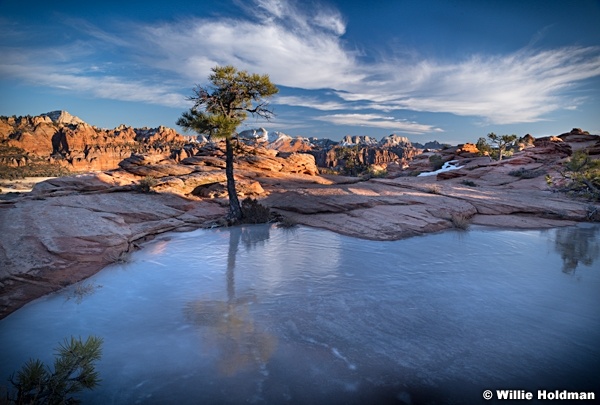 Zion West Temple Ice 121919 9354 2