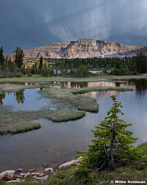 Rosalie Lake Uinta 062312