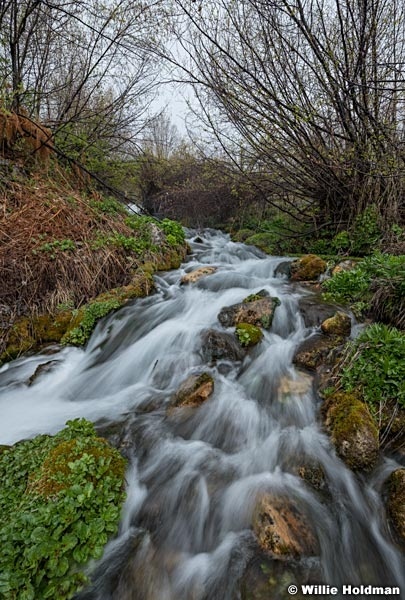 Cascade Springs Spring 050324 7014