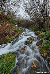 Cascade Springs Spring 050324 7014