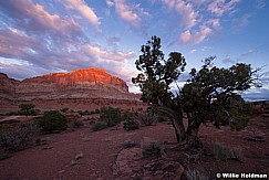 Capital Reef 101113 0882