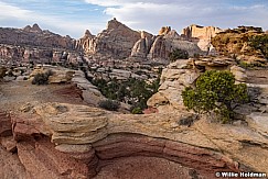 Capitol Reef Backcountry 042622 2367