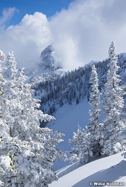 South Fork Frosty Trees 021819 1926