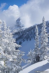 South Fork Frosty Trees 021819 1926