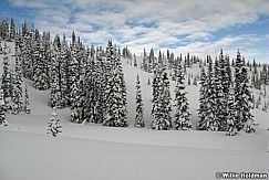 winter020808 IMG 06484