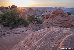 Arizona Sandstone 041923 4312
