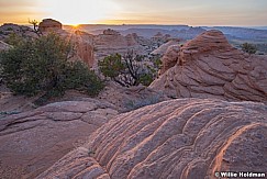 Arizona Sandstone 041923 4312