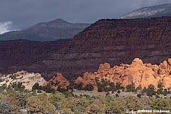 Gorilla Head Sunrise 010526 2328