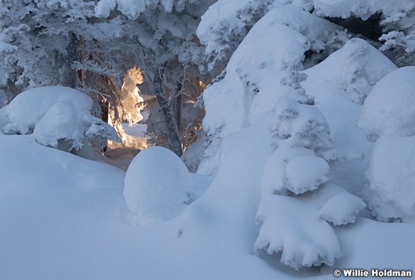 Fresh Snow Warm Window 111220 1374 5