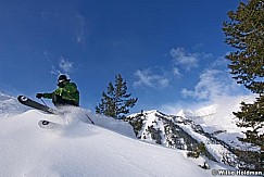 ski011208 CRE 1656