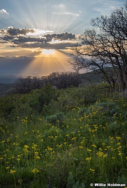 Heber Valley Rays 060417 3239