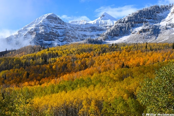 Timpanogos Autumn Snow 101426 3770