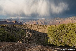 Book Cliffs Range Creek Storm 050121 4828