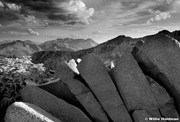 hostastimpridgeBW080210 1116
