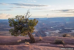 Canyonlands Sunset Green River 032020 6648