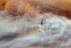 abstractimpressions102110 6785