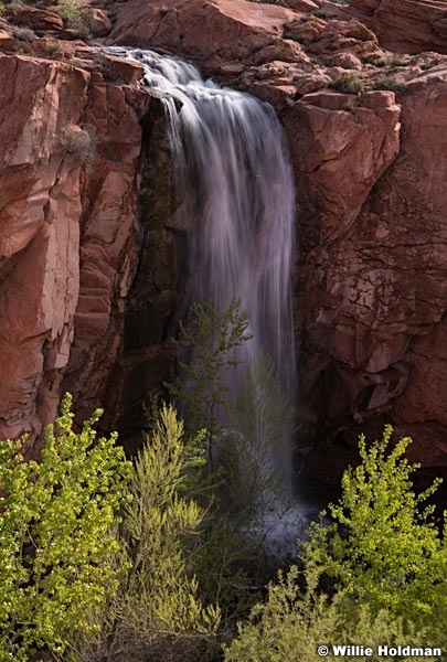 Gunlock Waterfall 041519 3333
