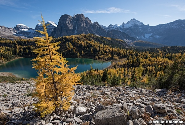 Assiniboine Elizabeth 092015 1604
