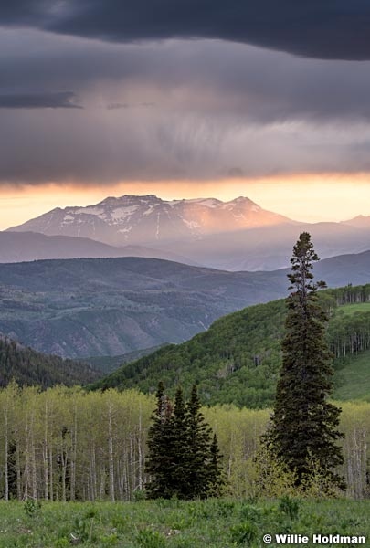 Wasatch Back Spring Srtorm 062919 7468 2