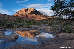 Kinesava Peak reflection in waterhole, Utah