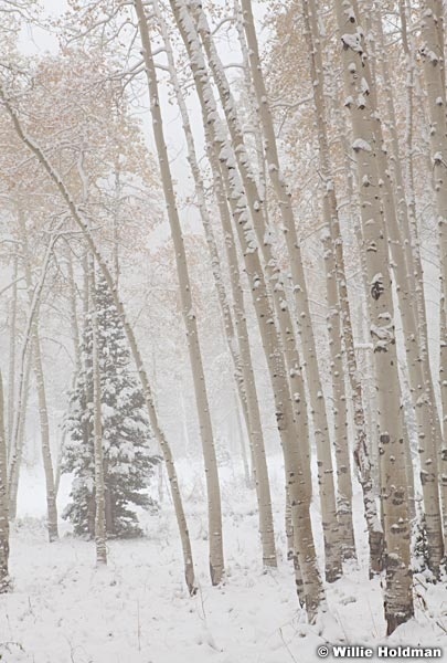 Aspensinfogsnow100711 312